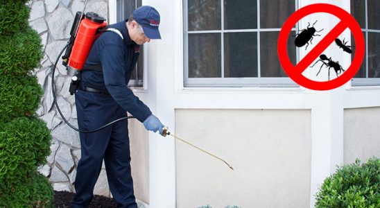 Sivrice Karınca İlaçlama böcek ilaçlama ve haşere kontrolü — ilaclama-tr.com